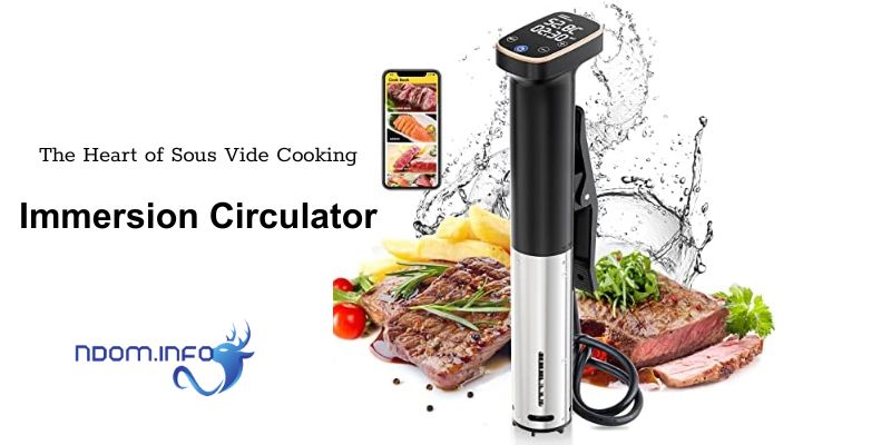 Immersion Circulator: The Key to Sous Vide Cooking